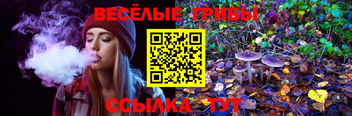 Галлюциногенные грибы прущие грибы  Вход с VPN  Псилоцибиновые грибы прущие грибы  Магнитогорск 